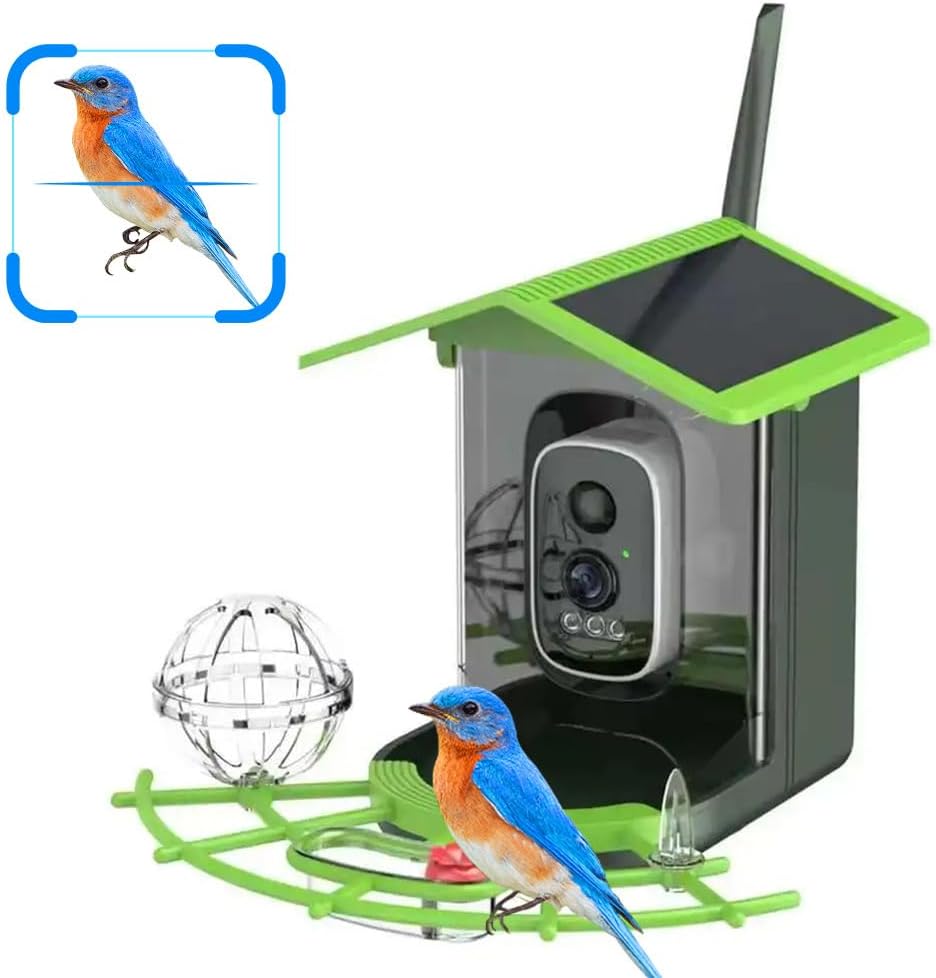 A1 Watches & Jewelry New York Photos - Echtzeit-Vogelbeobachtung WLAN-App Vogelfutterkamera Vollfarbige Nachtsicht KI-gestützte